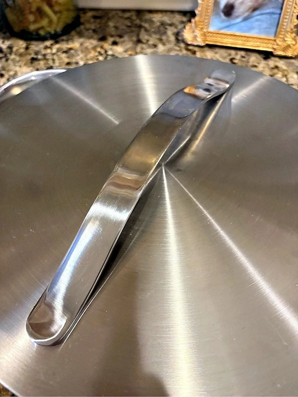 Caraway Stainless Steel Pan 4.5 Qt